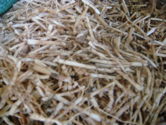 Rễ tranh thanh nhiệt: Rễ tranh còn gọi là rễ cỏ tranh, Đông y gọi là bạch bao căn, có vị ngọt, tính hàn. Rễ tranh có tác dụng làm mát máu, cầm máu, thanh nhiệt, trị bứt rứt, khát nước do nội nhiệt, tiểu tiện không thông, người hay bị chảy máu cam, ho suyễn do phế nhiệt...(Trong ảnh: rễ tranh) Xem thêm: Điểm mặt những thực phẩm tốt nhất cho bữa sáng của trẻ Rễ tranh thanh nhiệt: Rễ tranh còn gọi là rễ cỏ tranh, Đông y gọi là bạch bao căn, có vị ngọt, tính hàn. Rễ tranh có tác dụng làm mát máu, cầm máu, thanh nhiệt, trị bứt rứt, khát nước do nội nhiệt, tiểu tiện không thông, người hay bị chảy máu cam, ho suyễn do phế nhiệt...(Trong ảnh: rễ tranh) Xem thêm: Điểm mặt những thực phẩm tốt nhất cho bữa sáng của trẻ