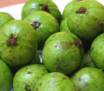 Chữa chứng ho: Dùng 400g cùi sấu ngâm với ít muối hoặc sắc lấy nước cho chút đường đủ ngọt, uống 2 – 3 lần trong ngày. Hoặc lấy hoa, quả sấu sắc với 300ml nước còn lại 100ml, chia ra 2 – 3 lần uống trong ngày. Xem thêm:"Diệt trừ" đau dạ dày, đau khớp... với trà xanh mỗi ngày Chữa chứng ho: Dùng 400g cùi sấu ngâm với ít muối hoặc sắc lấy nước cho chút đường đủ ngọt, uống 2 – 3 lần trong ngày. Hoặc lấy hoa, quả sấu sắc với 300ml nước còn lại 100ml, chia ra 2 – 3 lần uống trong ngày. Xem thêm:"Diệt trừ" đau dạ dày, đau khớp... với trà xanh mỗi ngày