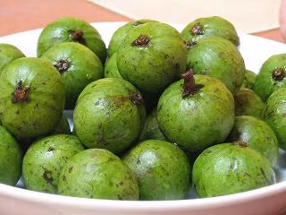 Đông y cho rằng quả sấu lúc xanh có vị chua hơi chát, khi quả chín có vị chua, ngọt, tính mát, có công năng kiện vị sinh tân, tiêu thực chỉ khát, chỉ ho, tiêu đờm, sử dụng trị nhiều bệnh chứng như nhiệt miệng khô khát, ngứa cổ, đau họng, nôn do thai nghén, say rượu, nổi mẩn, sưng, lở ngứa..., mỗi lần uống từ 4 - 6g cùi quả. Xem thêm:"Diệt trừ" đau dạ dày, đau khớp... với trà xanh mỗi ngày