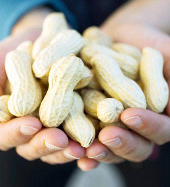 Thứ nữa là nhiệt độ thích hợp: Nhiệt độ thích hợp nhất để uống bia là từ 12-15 độ. Lúc này hương thơm của bia và bọt đều ở trong trạng thái tốt nhất. Khi uống cảm giác dễ chịu là rõ ràng nhất. Sau đó nữa là không nên ăn cùng với thực phẩm muối, nên uống cùng với hoa quả và rau xanh. Lạc là đồ nhắm uống bia tốt nhất. Xem thêm:Nhận diện mụn và phương cách "cạch mặt" chúng Thứ nữa là nhiệt độ thích hợp: Nhiệt độ thích hợp nhất để uống bia là từ 12-15 độ. Lúc này hương thơm của bia và bọt đều ở trong trạng thái tốt nhất. Khi uống cảm giác dễ chịu là rõ ràng nhất. Sau đó nữa là không nên ăn cùng với thực phẩm muối, nên uống cùng với hoa quả và rau xanh. Lạc là đồ nhắm uống bia tốt nhất. Xem thêm:Nhận diện mụn và phương cách "cạch mặt" chúng