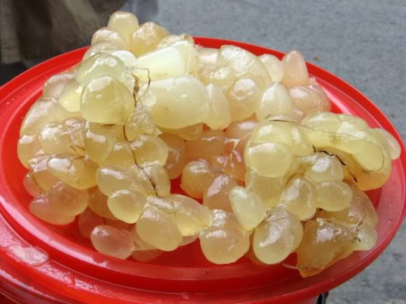 Thuốc chỉ định cho những trường hợp bị bỏng sâu, dùng vào tuần lễ thứ ba sau khi bỏng. Không dùng mỡ trăn và dầu cá vào việc sơ cứu. Xem thêm:26 loại thực phẩm giúp bạn ‘thanh lọc’ cơ thể Thuốc chỉ định cho những trường hợp bị bỏng sâu, dùng vào tuần lễ thứ ba sau khi bỏng. Không dùng mỡ trăn và dầu cá vào việc sơ cứu. Xem thêm:26 loại thực phẩm giúp bạn ‘thanh lọc’ cơ thể