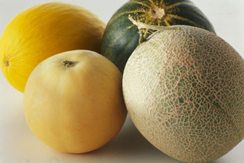 Những lợi ích sức khỏe khác: Dưa lê là trái cây giàu folate, một loại vitamin có vai trò quan trọng cho sức khỏe của tim, đồng thời ngăn chặn những khuyết tật ở thai nhi. Xem thêm:Điểm danh 12 loại rau, quả dễ nhiễm thuốc trừ sâu hàng đầu 2012 Những lợi ích sức khỏe khác: Dưa lê là trái cây giàu folate, một loại vitamin có vai trò quan trọng cho sức khỏe của tim, đồng thời ngăn chặn những khuyết tật ở thai nhi. Xem thêm:Điểm danh 12 loại rau, quả dễ nhiễm thuốc trừ sâu hàng đầu 2012