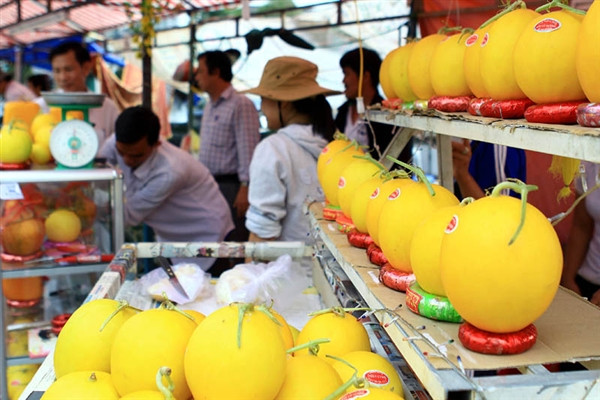 Một nghiên cứu gần dây cho thấy, cơ thể có ít folate sẽ tăng gấp 3 lần nguy cơ mắc bệnh Alzheimer (bệnh mất trí nhớ) ở những người cao tuổi. Và các chuyên gia khuyên bạn nên ăn những thực phẩm giàu chất forlate như dưa lê. Xem thêm:Điểm danh 12 loại rau, quả dễ nhiễm thuốc trừ sâu hàng đầu 2012 Một nghiên cứu gần dây cho thấy, cơ thể có ít folate sẽ tăng gấp 3 lần nguy cơ mắc bệnh Alzheimer (bệnh mất trí nhớ) ở những người cao tuổi. Và các chuyên gia khuyên bạn nên ăn những thực phẩm giàu chất forlate như dưa lê. Xem thêm:Điểm danh 12 loại rau, quả dễ nhiễm thuốc trừ sâu hàng đầu 2012