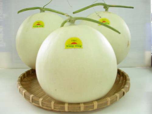 Ngăn chặn chứng chuột rút ở chân: Thường xuyên ăn dưa lê sẽ giúp bạn giảm được chứng chuột rút ở chân, đặc biệt là đối với phụ nữ mang thai. Điều này có được là nhờ trong quả dưa lê có chứa rất nhiều chất magie. Xem thêm:Điểm danh 12 loại rau, quả dễ nhiễm thuốc trừ sâu hàng đầu 2012 Ngăn chặn chứng chuột rút ở chân: Thường xuyên ăn dưa lê sẽ giúp bạn giảm được chứng chuột rút ở chân, đặc biệt là đối với phụ nữ mang thai. Điều này có được là nhờ trong quả dưa lê có chứa rất nhiều chất magie. Xem thêm:Điểm danh 12 loại rau, quả dễ nhiễm thuốc trừ sâu hàng đầu 2012