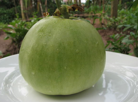 Giúp da sáng đẹp hơn: Dưa lê là một trong những trái cây giàu vitamin C-một loại vitamin chống oxi hóa giúp tăng nồng độ collagen, loại protein giúp da khỏe và trẻ trung. Vitamin C cũng đóng vai trò quan trọng trong chức năng của hệ miễn dịch và có thể giúp chống lại virut gây sốt và cảm cúm. Mặt khác, vitamin C giúp hấp thụ chất sắt. Chỉ cần ăn một quả dưa lê cỡ trung bình cũng sẽ giúp bạn nhận đủ lượng vitamin C cần thiết mỗi ngày. Xem thêm:Điểm danh 12 loại rau, quả dễ nhiễm thuốc trừ sâu hàng đầu 2012 Giúp da sáng đẹp hơn: Dưa lê là một trong những trái cây giàu vitamin C-một loại vitamin chống oxi hóa giúp tăng nồng độ collagen, loại protein giúp da khỏe và trẻ trung. Vitamin C cũng đóng vai trò quan trọng trong chức năng của hệ miễn dịch và có thể giúp chống lại virut gây sốt và cảm cúm. Mặt khác, vitamin C giúp hấp thụ chất sắt. Chỉ cần ăn một quả dưa lê cỡ trung bình cũng sẽ giúp bạn nhận đủ lượng vitamin C cần thiết mỗi ngày. Xem thêm:Điểm danh 12 loại rau, quả dễ nhiễm thuốc trừ sâu hàng đầu 2012