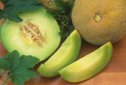 Dưa lê là một trong những loại trái cây phổ biến ở các nước nhiệt đới. Dưa lê có mùi thơm và thường được dùng làm món tráng miệng. Có hai loại dưa lê là dưa da trơn và dưa da sần. Xem thêm:Điểm danh 12 loại rau, quả dễ nhiễm thuốc trừ sâu hàng đầu 2012 Dưa lê là một trong những loại trái cây phổ biến ở các nước nhiệt đới. Dưa lê có mùi thơm và thường được dùng làm món tráng miệng. Có hai loại dưa lê là dưa da trơn và dưa da sần. Xem thêm:Điểm danh 12 loại rau, quả dễ nhiễm thuốc trừ sâu hàng đầu 2012