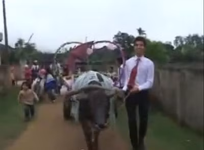Trong đoạn video, chú rể vận bộ đồ sơ mi khá giản dị, tự tay dắt chú trâu được phủ một lớp vải với chữ hỉ dán trên lưng kéo đến nhà cô gái để đón dâu.
