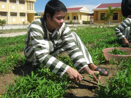 Phạm nhân Tâm một trong những người được đặc xá trong lần này hăng say lao động chờ ngày trở về đoàn tụ với gia đình