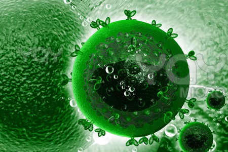 Cứ 5 trường hợp bị nhiễm HIV tại Mỹ thì có 1 người không biết mình mắc bệnh. Ảnh Internet