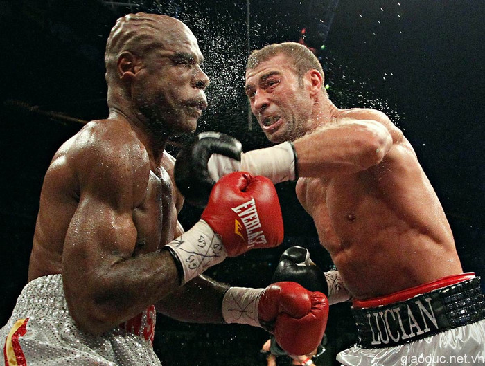 Thi đấu quyền Anh ở Quebec, Canada.