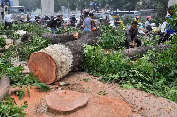 Tự chủ đại học: Chất đã thay đổi như thế nào? ảnh 4