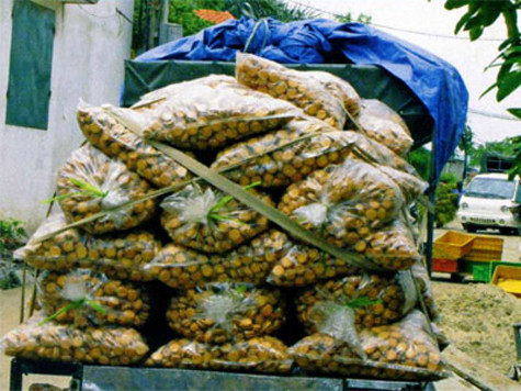 Không chỉ có thịt thối được dùng làm nhân bánh bị bắt giữ mà một số lượng lớn trứng vịt muối thối cũng bị phát hiện đang trong quá trình "hoàn thiện" thành nhân bánh trung thu và qua đó đầu độc người tiêu dùng.