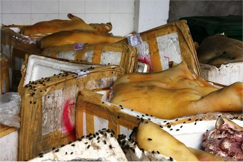 Đối với dân nhậu, khi nghe tin cơ quan chức năng liên tục phát hiện và bắt giữ những vụ vận chuyển, buôn bán và chế biến nầm, lòng lợn, nội tạng, vó bò thối thành đồ nhậu hẳn sẽ rất kinh hãi bởi không biết mình đã "chẳng may" xơi phải bao nhiêu thứ bẩn thỉu, độc hại như thế trên bàn nhậu.