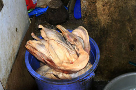 Sau khi được giết và làm sạch lông, vịt được chất đống trong các thùng nhựa như thế này