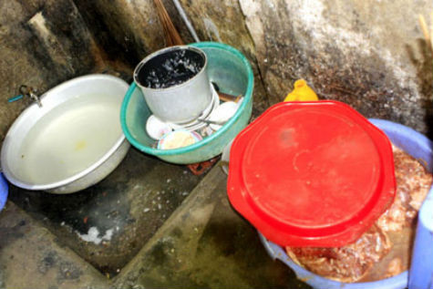 Vịt được để cùng với vô số những bát đĩa bẩn khác