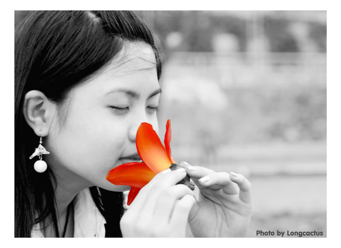 Mùi hương dịu nhẹ Mùi hương dịu nhẹ