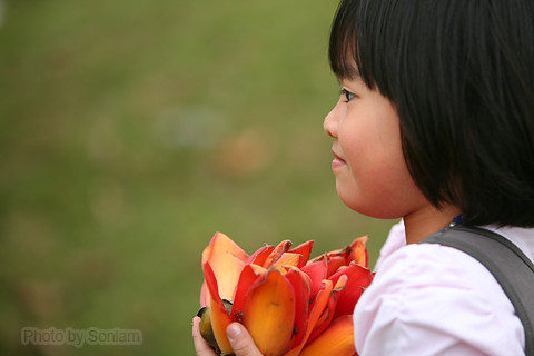 Những bông hoa nhắc về tuổi thơ xa lắc, nhắc về những năm tháng còn lên năm lên ba chạy chơi ở bến nước đầu làng Những bông hoa nhắc về tuổi thơ xa lắc, nhắc về những năm tháng còn lên năm lên ba chạy chơi ở bến nước đầu làng