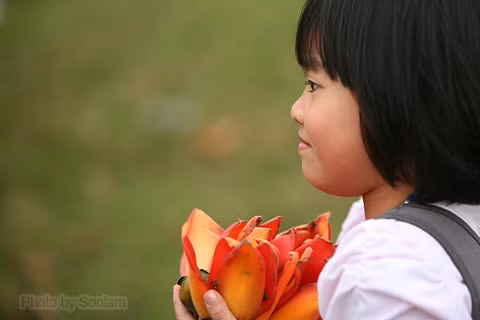 Những bông hoa nhắc về tuổi thơ xa lắc, nhắc về những năm tháng còn lên năm lên ba chạy chơi ở bến nước đầu làng