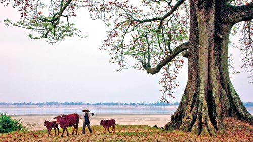 Buổi chiều yên bình nơi quê mình xa vắng Buổi chiều yên bình nơi quê mình xa vắng