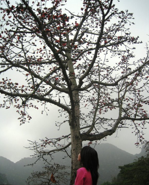 Thiếu nữ giật mình, tháng ba đến Thiếu nữ giật mình, tháng ba đến