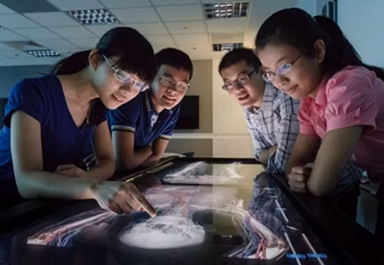 Quy định mới về đào tạo chất lượng cao trình độ đại học ảnh 1