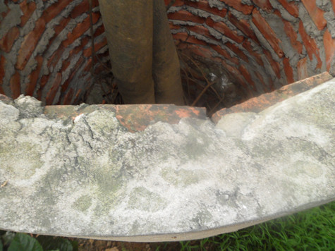 Mỗi một "vòng áo" của sưa là một lớp gạch chỉ xây quây thành vòng tròn, phía bên ngoài trát xi măng và có đường kính khoảng 1m, có chừa khoảng trống để thân cây có thể phát triển (Ảnh: Phạm Hải). Mỗi một "vòng áo" của sưa là một lớp gạch chỉ xây quây thành vòng tròn, phía bên ngoài trát xi măng và có đường kính khoảng 1m, có chừa khoảng trống để thân cây có thể phát triển (Ảnh: Phạm Hải).