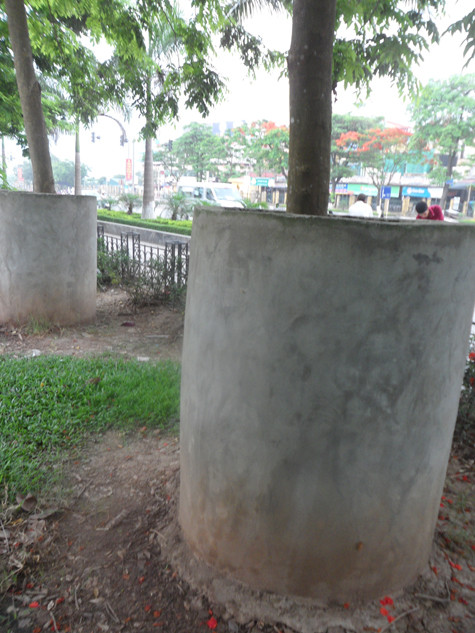 Mỗi một gốc sưa tại vườn hoa này được bao bọc xung quanh bằng một bức tường gạch với chiều cao khoảng 1,6m (Ảnh: Phạm Hải). Mỗi một gốc sưa tại vườn hoa này được bao bọc xung quanh bằng một bức tường gạch với chiều cao khoảng 1,6m (Ảnh: Phạm Hải).