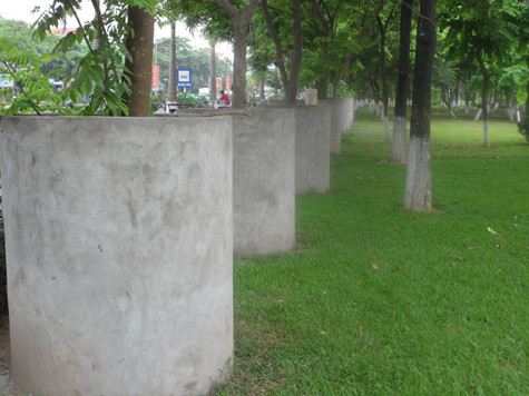 Hình ảnh những gốc sưa được "mặc giáp" bằng bê tông xung quanh gốc tại vườn hoa Nam Cao (Phủ Lý, Hà Nam) chắc chắn chẳng gây được thiện cảm của nhiều người nhưng xem ra ngoài phương pháp này thì cũng chẳng còn cách nào khác để bảo vệ những cây sưa trước sự nhòm ngó của đám "sưa tặc" (Ảnh: Phạm Hải). Hình ảnh những gốc sưa được "mặc giáp" bằng bê tông xung quanh gốc tại vườn hoa Nam Cao (Phủ Lý, Hà Nam) chắc chắn chẳng gây được thiện cảm của nhiều người nhưng xem ra ngoài phương pháp này thì cũng chẳng còn cách nào khác để bảo vệ những cây sưa trước sự nhòm ngó của đám "sưa tặc" (Ảnh: Phạm Hải).