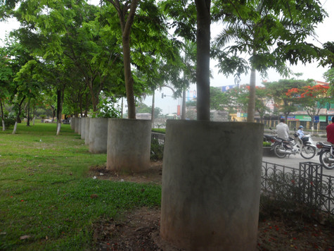 Nhằm tránh cho những gốc sưa có tuổi đời gần chục năm tuổi được trồng tại vườn hoa Nam Cao (TP Phủ Lý, Hà Nam) không bị cưa, chặt trộm, những người quản lý vườn hoa đã có "sáng kiến" là xây và đổ bê tông quanh gốc để bảo vệ khỏi sự nhòm ngó của đám "sưa tặc" (Ảnh: Phạm Hải). Nhằm tránh cho những gốc sưa có tuổi đời gần chục năm tuổi được trồng tại vườn hoa Nam Cao (TP Phủ Lý, Hà Nam) không bị cưa, chặt trộm, những người quản lý vườn hoa đã có "sáng kiến" là xây và đổ bê tông quanh gốc để bảo vệ khỏi sự nhòm ngó của đám "sưa tặc" (Ảnh: Phạm Hải).