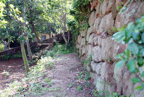 Chùa được kiến trúc theo kiểu "nội công ngoại quốc", sân chùa là cả một vườn hoa mẫu đơn rực rỡ. Bên phải chùa là Miếu thờ Đức chúa tức bà Trần Thị Ngọc Am là đệ nhất cung tần của chúaTrịnh Tráng tu ở chùa này nên có câu đối "Đệ nhất cung tần quy Phật địa. Thập tam đình vũ thứ tiên hương". Bà chẳng những có công lớn trùng tu chùa mà còn bỏ tiền cùng dân 13 thôn dựng đình (Ảnh: Internet) .