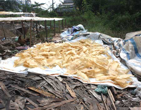 Các loại bì lợn dùng để chế biến thành bì lợn nướng, rán và các loại nem nắm, nem trộn cũng bẩn thỉu, độc hại khôn lường.... Các loại bì lợn dùng để chế biến thành bì lợn nướng, rán và các loại nem nắm, nem trộn cũng bẩn thỉu, độc hại khôn lường....