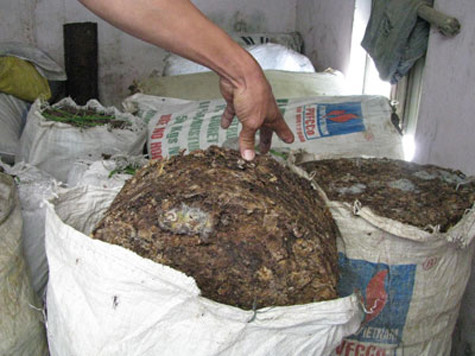 Những bao tải, túi nilon mỡ bột, tóp mỡ bẩn thỉu, độc hại như thế này nếu không được lực lượng chức năng phát hiện, ngăn chặn kịp thời sẽ được vận chuyển đi khắp nơi vào các nhà hàng, quán ăn để từ đó "đầu độc" người tiêu dùng. Những bao tải, túi nilon mỡ bột, tóp mỡ bẩn thỉu, độc hại như thế này nếu không được lực lượng chức năng phát hiện, ngăn chặn kịp thời sẽ được vận chuyển đi khắp nơi vào các nhà hàng, quán ăn để từ đó "đầu độc" người tiêu dùng.