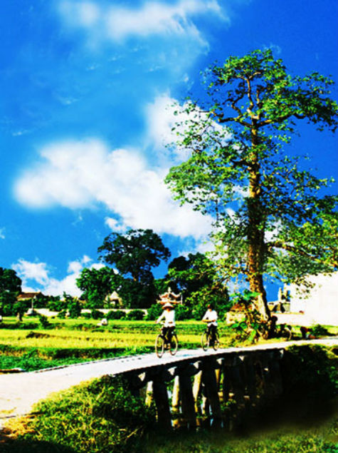 Chùa nằm trong một quần thể di tích lịch sử gắn liền với quá trình thành lập làng Nôm. Đó là đình Tam Giang thờ vị tướng thời Hai Bà Trưng. Đó là cây cầu đá gồm 9 nhịp đầu rồng đã mấy trăm năm nay soi bóng xuống dòng sông Nguyệt Đức, nâng bước chân thiện nam tín nữ đến với chùa. Chiếc cầu đá bắc qua bờ sông này đã tồn tại trên 200 năm (Ảnh: Internet). Chùa nằm trong một quần thể di tích lịch sử gắn liền với quá trình thành lập làng Nôm. Đó là đình Tam Giang thờ vị tướng thời Hai Bà Trưng. Đó là cây cầu đá gồm 9 nhịp đầu rồng đã mấy trăm năm nay soi bóng xuống dòng sông Nguyệt Đức, nâng bước chân thiện nam tín nữ đến với chùa. Chiếc cầu đá bắc qua bờ sông này đã tồn tại trên 200 năm (Ảnh: Internet).