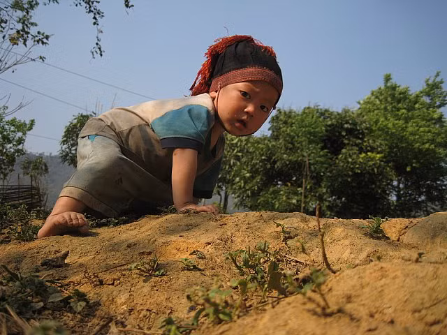 Chưa biết đi thì bò quanh nương rẫy