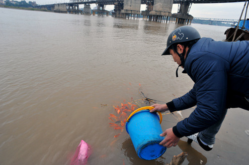 Nhẹ nhàng đưa cá "về trời". Nhẹ nhàng đưa cá "về trời".