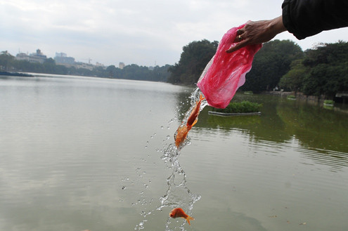 Từ từ rũ xuống. Từ từ rũ xuống.