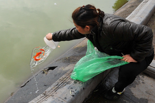 Hắt cá ra khỏi ca. Hắt cá ra khỏi ca.