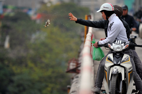 Cầm cá từ trong túi quăng xuống. Cầm cá từ trong túi quăng xuống.