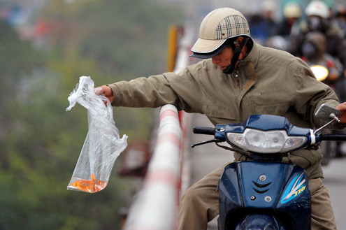 Người dân đi qua cầu dừng xe tranh thủ thả cả túi nylon cá xuống sông. Người dân đi qua cầu dừng xe tranh thủ thả cả túi nylon cá xuống sông.