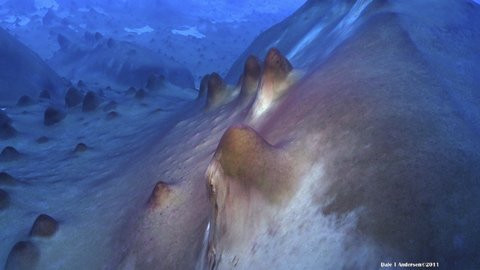 Hồ Untersee đóng băng ở phía đông Nam Cực hiện diện rất nhiều ụ stromatolites, những vi khuẩn thuộc hàng sinh vật gạo cội nhất của Trái đất. Chúng có thể có tuổi đời lên tới hàng ngàn năm. Nói cách khác, những ụ này giống như mô hình hóa thạch của sự sống nguyên thủy trên hành tinh xanh. Hồ Untersee đóng băng ở phía đông Nam Cực hiện diện rất nhiều ụ stromatolites, những vi khuẩn thuộc hàng sinh vật gạo cội nhất của Trái đất. Chúng có thể có tuổi đời lên tới hàng ngàn năm. Nói cách khác, những ụ này giống như mô hình hóa thạch của sự sống nguyên thủy trên hành tinh xanh.