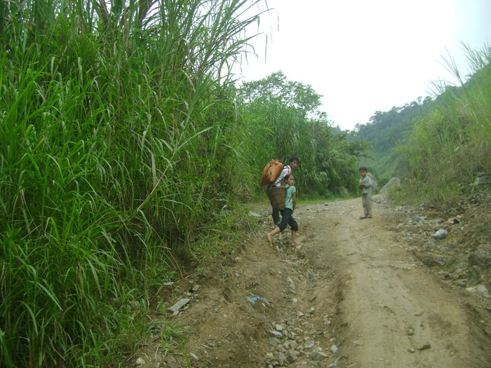 Cứ mùa rẫy đến các em tại Nhọt Kho lại phải bỏ học theo bố mẹ lên rẫy như thế này Cứ mùa rẫy đến các em tại Nhọt Kho lại phải bỏ học theo bố mẹ lên rẫy như thế này