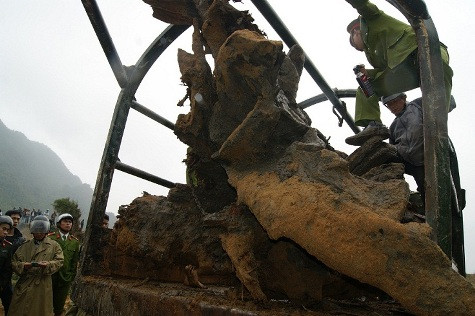 Khúc gỗ sưa lớn và nặng nên cơ quan chức năng đã phải sử dụng loại xe Reo chuyên dụng để chở gỗ về