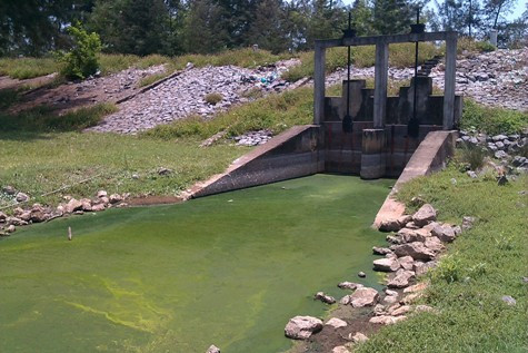 Kênh thoát nước của người dân nay đen kịt, đóng váng và bốc mùi hôi thối từ khi bị nước thải từ Công ty TNHH Chế biến phụ phẩm thủy sản Xuri Việt – Trung chảy vào. Kênh thoát nước của người dân nay đen kịt, đóng váng và bốc mùi hôi thối từ khi bị nước thải từ Công ty TNHH Chế biến phụ phẩm thủy sản Xuri Việt – Trung chảy vào.