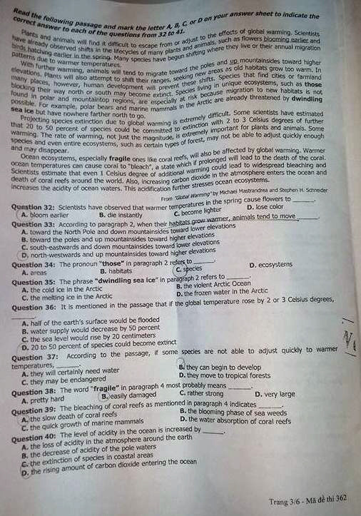 Gợi ý lời giải môn Ngoại ngữ Kỳ thi THPT quốc gia ảnh 5