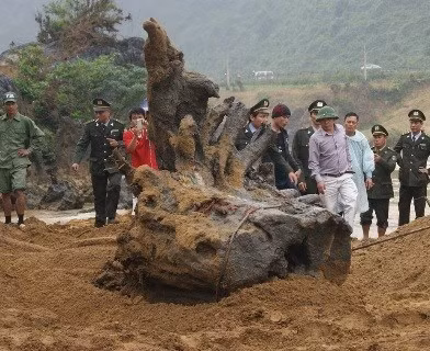 Sau khi gốc gỗ sưa được phát hiện trùm gỗ sưa với biệt danh Hùng "mía" (người đội mũ cối) đã mua lại công phát hiện từ cha con anh Nguyễn Quang Huy với giá 900 triệu đồng Sau khi gốc gỗ sưa được phát hiện trùm gỗ sưa với biệt danh Hùng "mía" (người đội mũ cối) đã mua lại công phát hiện từ cha con anh Nguyễn Quang Huy với giá 900 triệu đồng