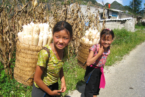 Đi nương về Đi nương về