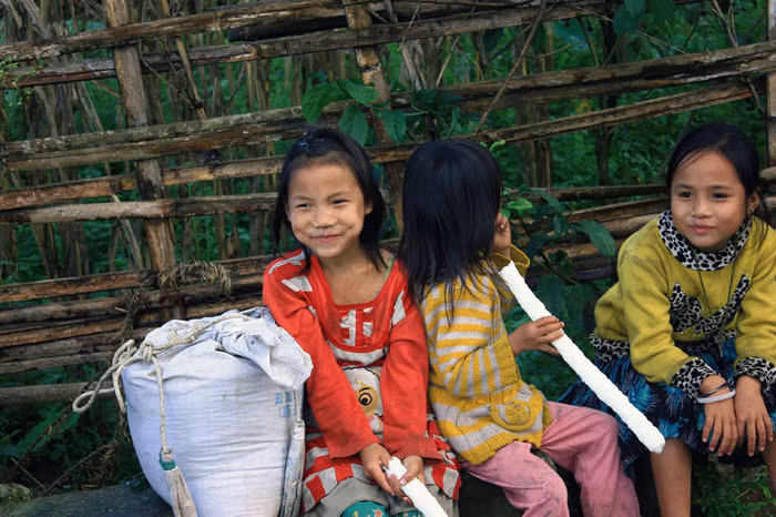 Những chuyến đò không bao giờ dừng ở một bến ảnh 6