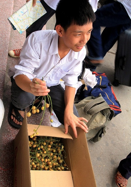 Thí sinh Nguyễn Văn Châu quê huyện Đoan Hùng – Phú Thọ tranh thủ mang cả hộp quất vòng từ nhà xuống Hà Nội dự thi. Châu bảo mang xuống, ở cùng bạn nào thì cả phòng cùng ăn cho vui. Xem đáp án môn Vật lí - Xem đáp án môn Toán - Xem đáp án môn Hóa - Xem đáp án môn Ngoại ngữ Khối A1