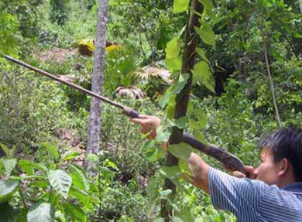Việc sử dụng súng tự chế bừa bãi trong đồng bào dân tộc thiểu số đã gây không ít cái chết thương tâm (ảnh minh họa) Việc sử dụng súng tự chế bừa bãi trong đồng bào dân tộc thiểu số đã gây không ít cái chết thương tâm (ảnh minh họa)