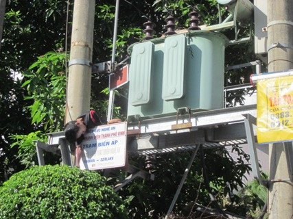 Xác nạn nhân được phát hiện nằm vắt ngang trên trạm biến áp Xác nạn nhân được phát hiện nằm vắt ngang trên trạm biến áp